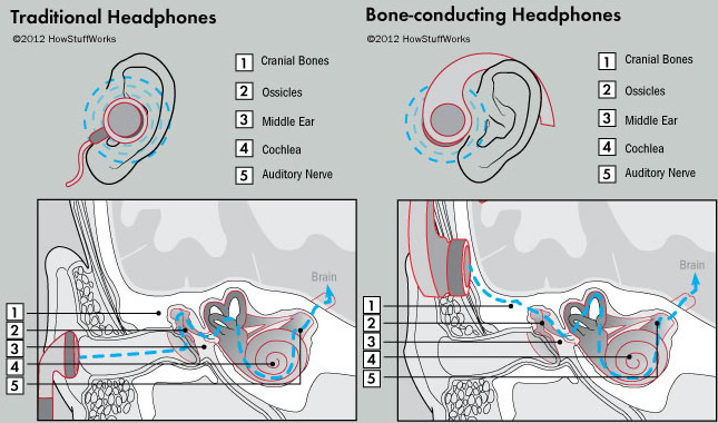 Bone-conducting headphones