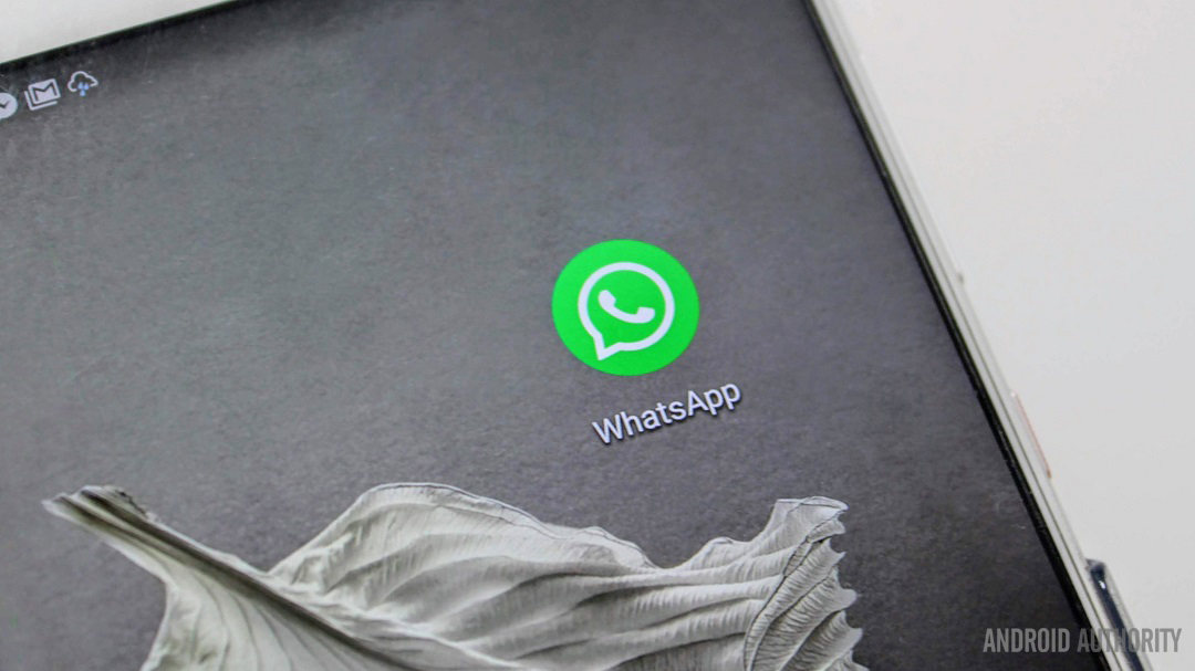 Une icône de l'application WhatsApp en gros plan sur un smartphone.