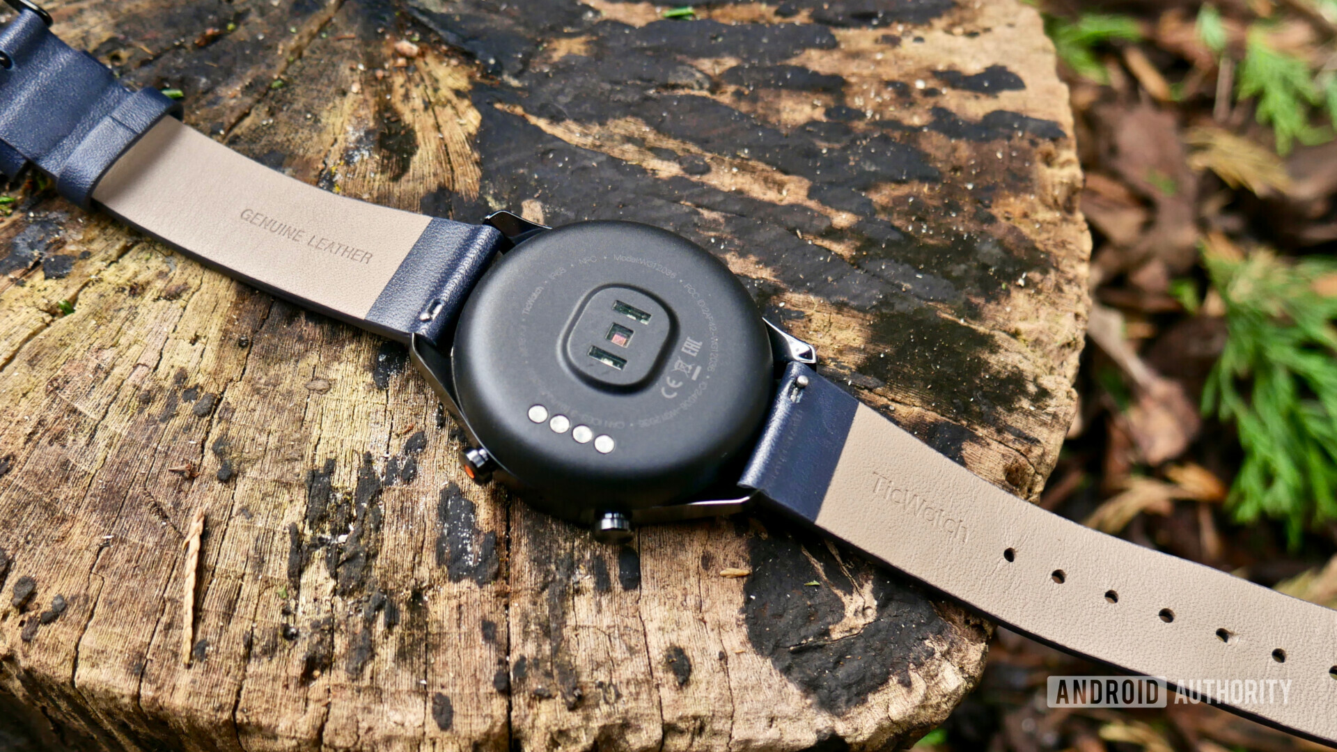 TicWatch C2 review heart rate monitor