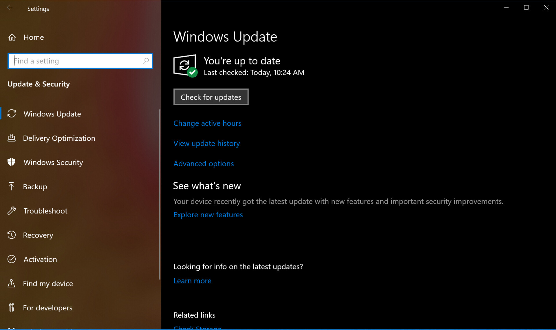 Svreenshot of Windows 10 update menu