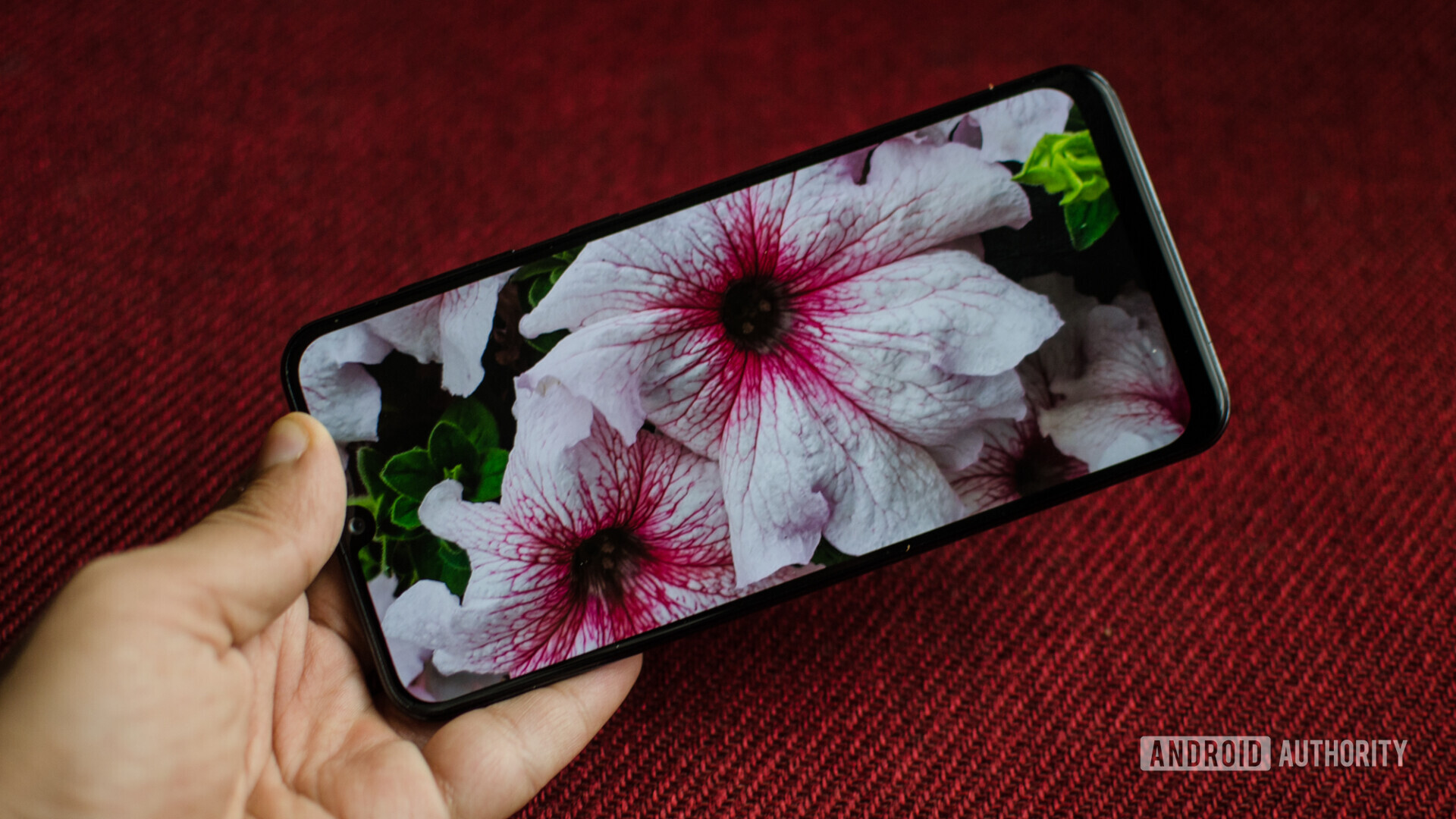 Samsung Galaxy A30 displaying camera sample image of flower