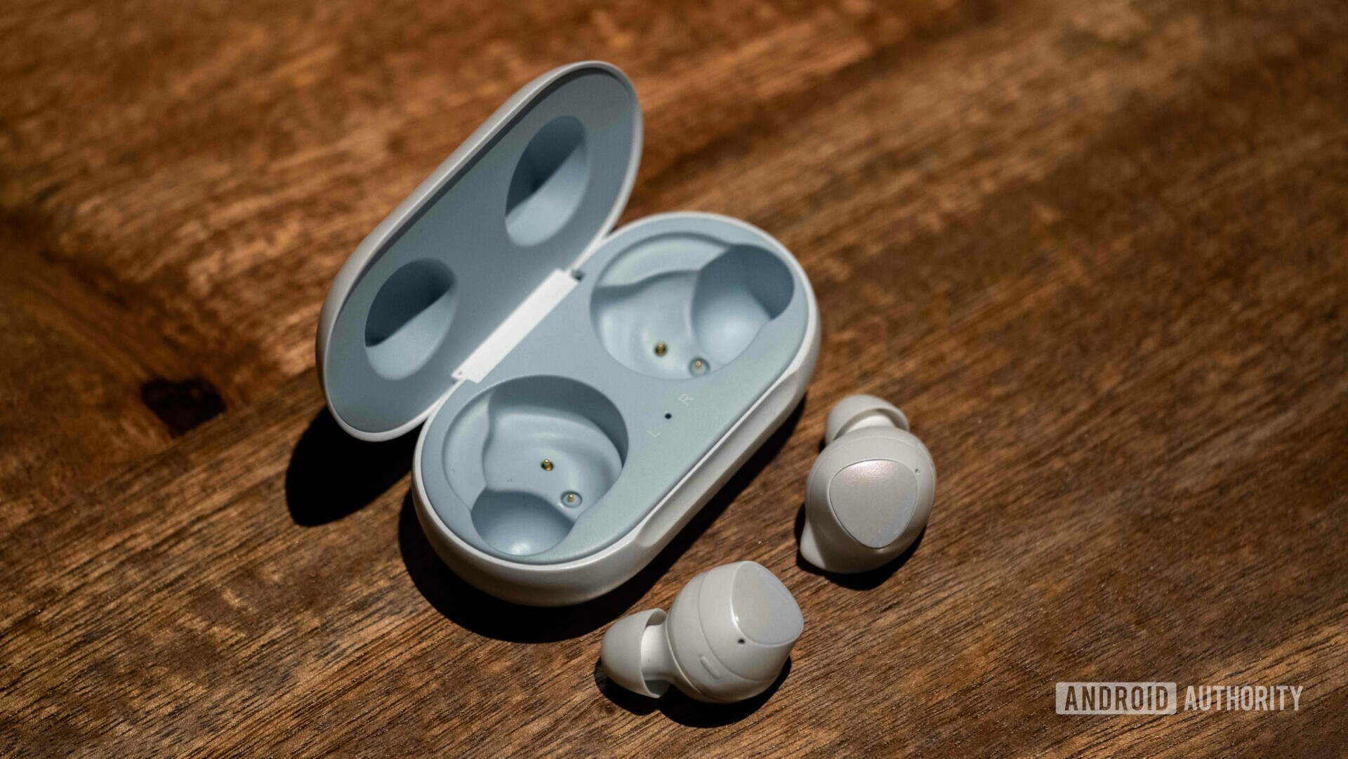 Samsung Galaxy Buds layed out