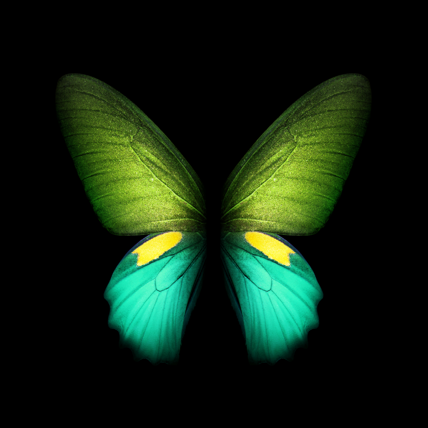 Download Samsung Galaxy Fold Wallpapers In Full Resolution Right Here