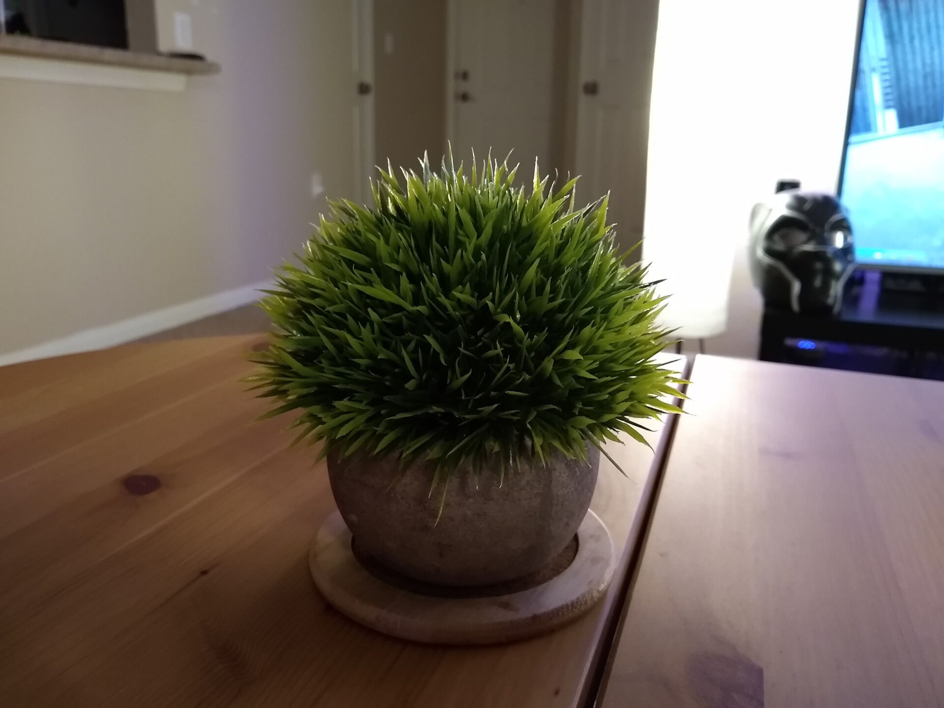Moto G7 Review camera sample indoors plant