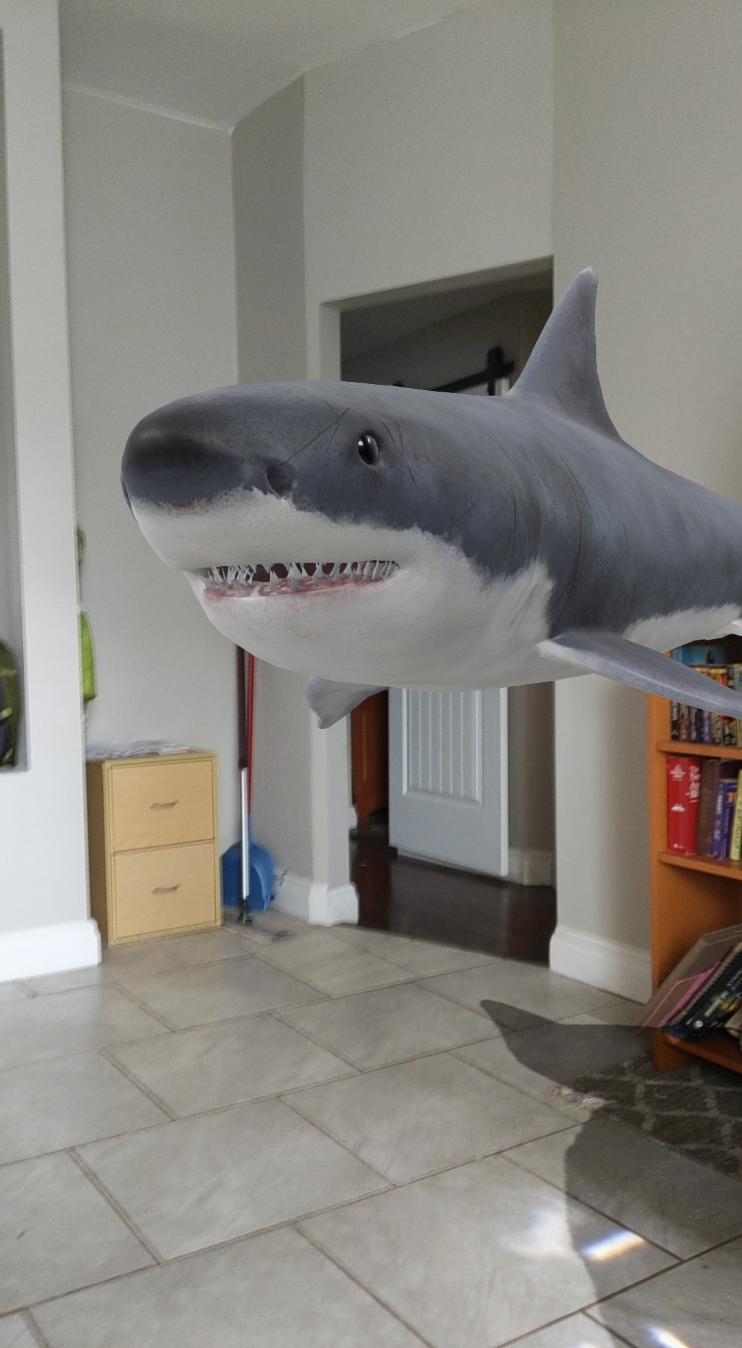An AR shark in a house.