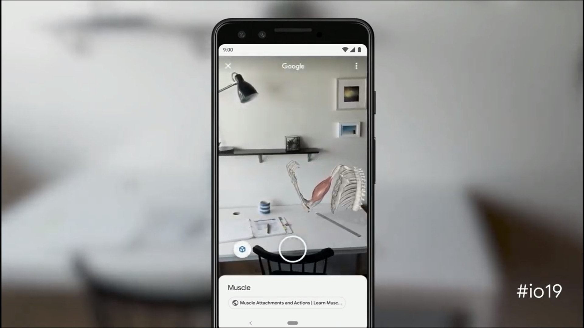 Google Search with augmented reality models.