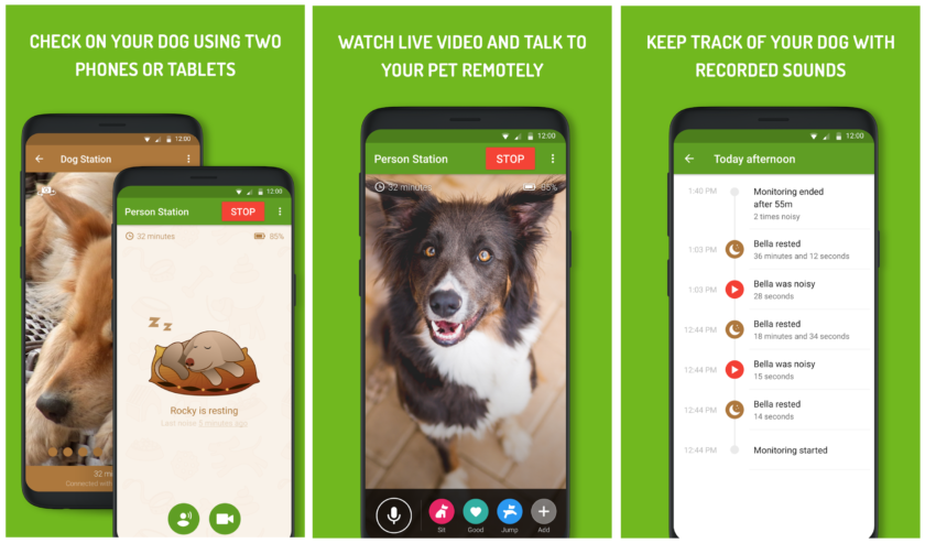 dog monitor app