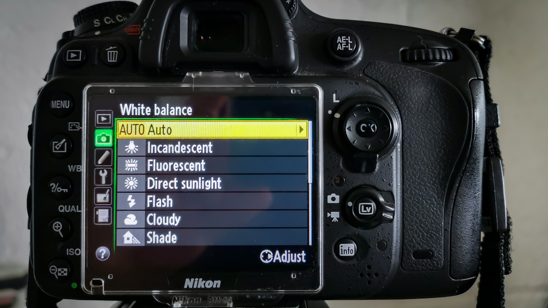Camera white balance settings on Nikon D610