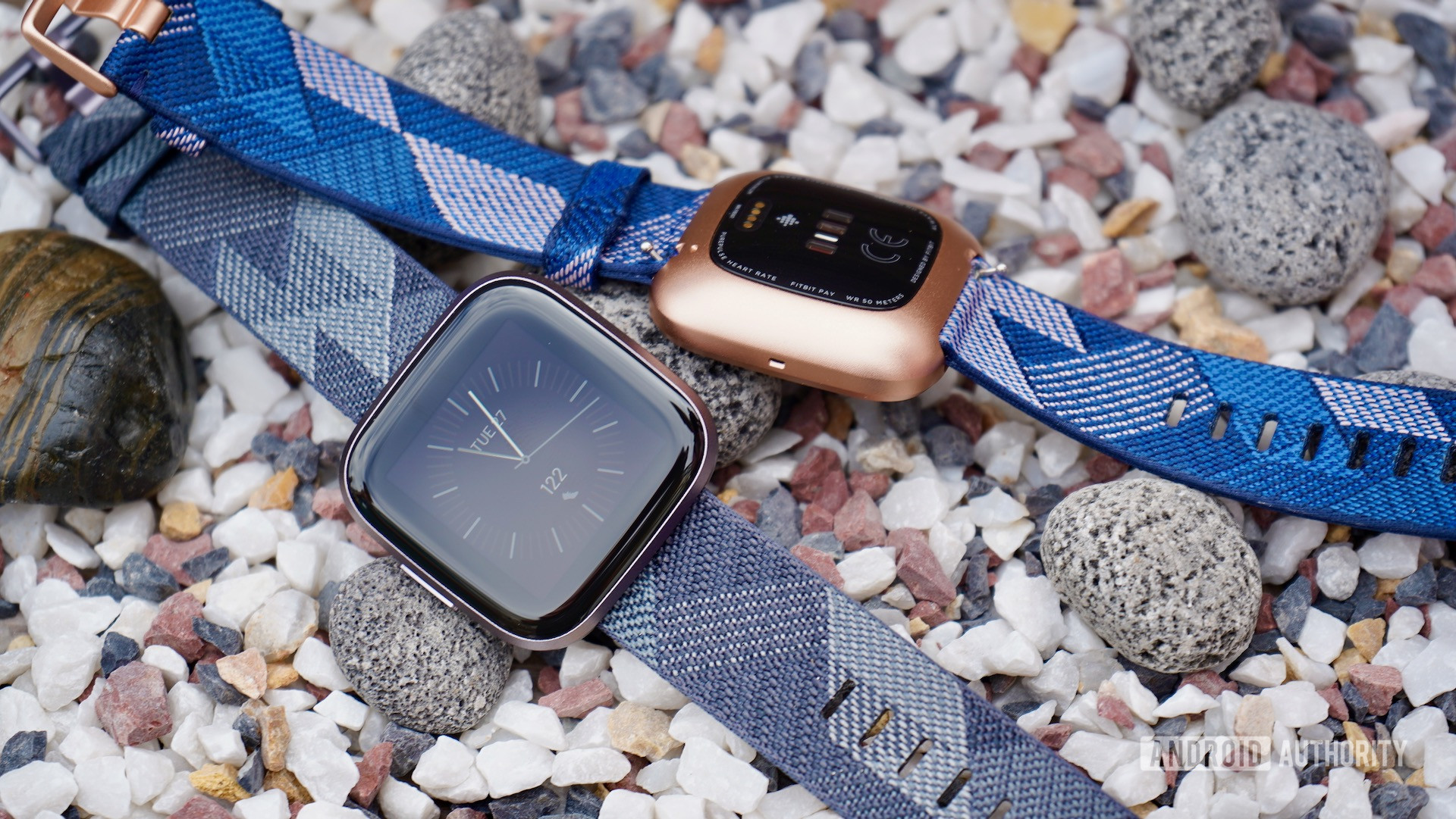 what is special about the fitbit versa 2 special edition