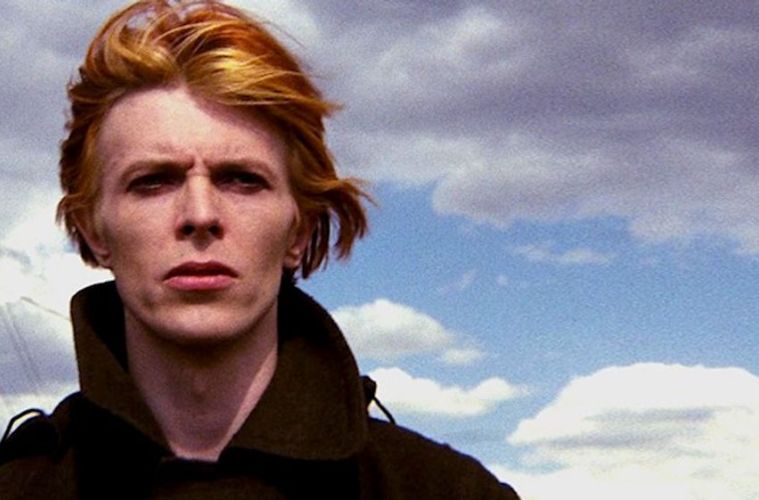 man who fell to earth