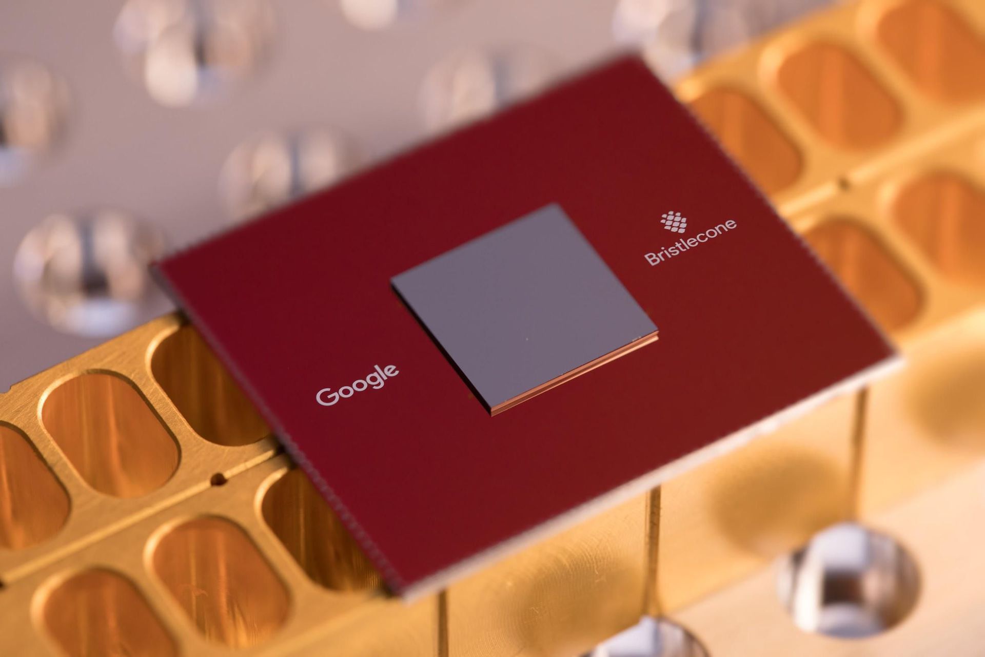 Google Quantum Processor Bristlecone