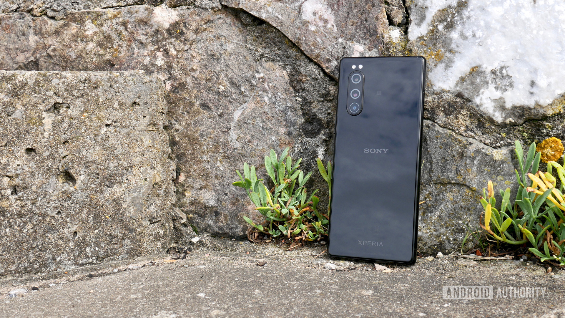 sony xperia 5 review