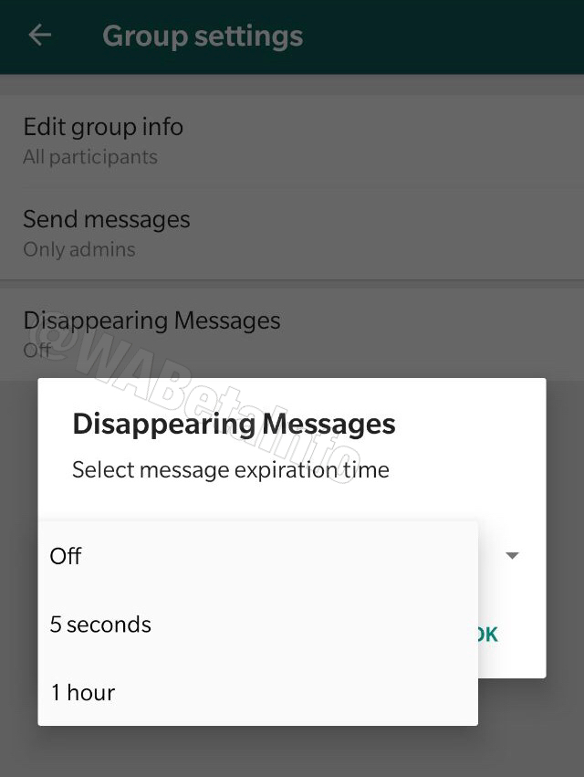 La función de mensajes desaparecidos de WhatsApp.