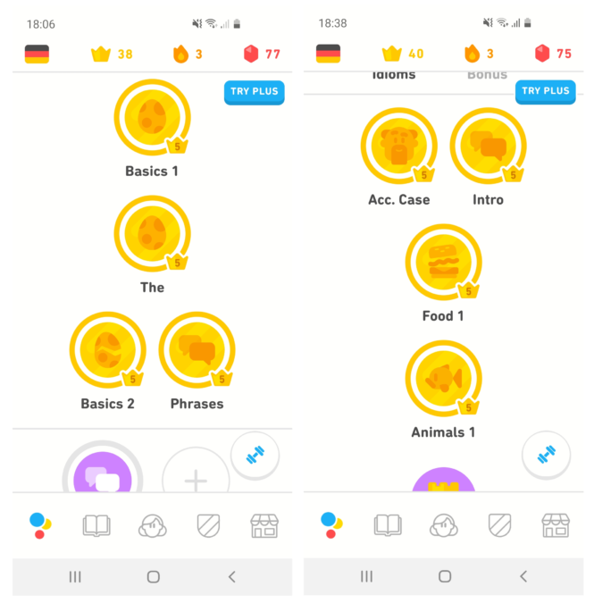Duolingo German results