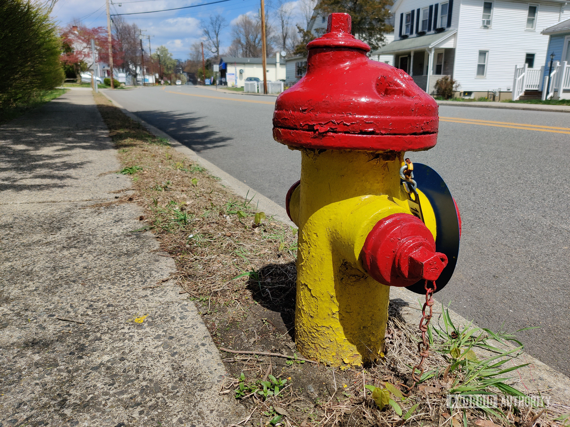 OnePlus 8 photo sample hydrant