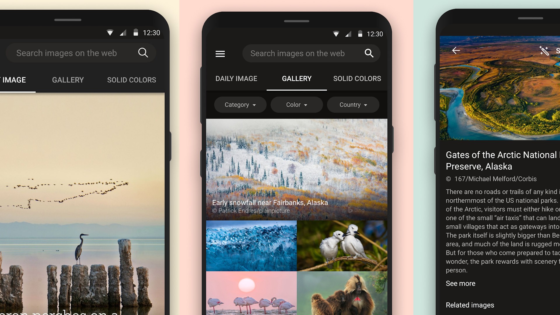 Microsoft Launches Bing Wallpapers App Android Authority
