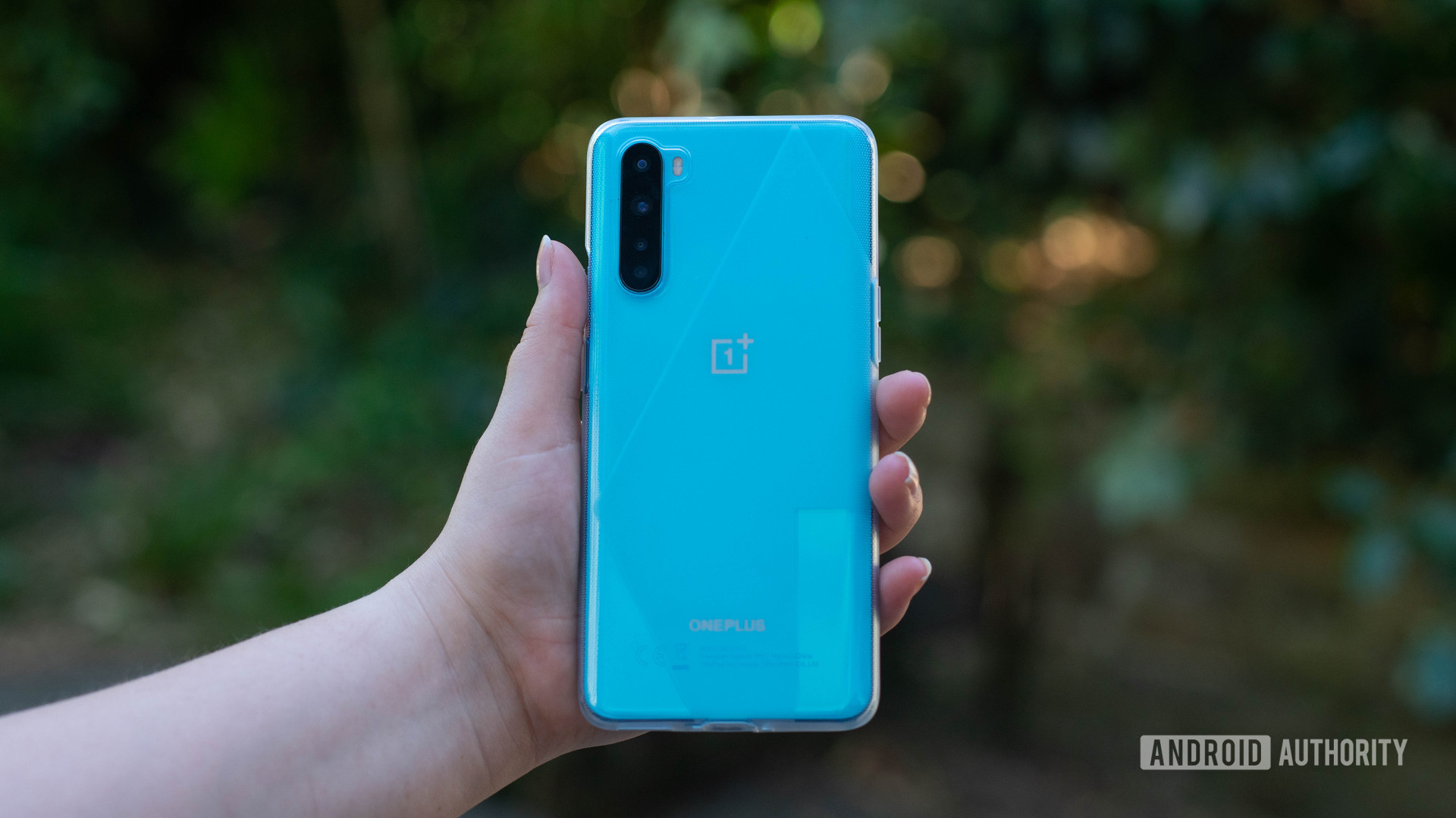 OnePlus Nord Holding the device out in the hand within the case