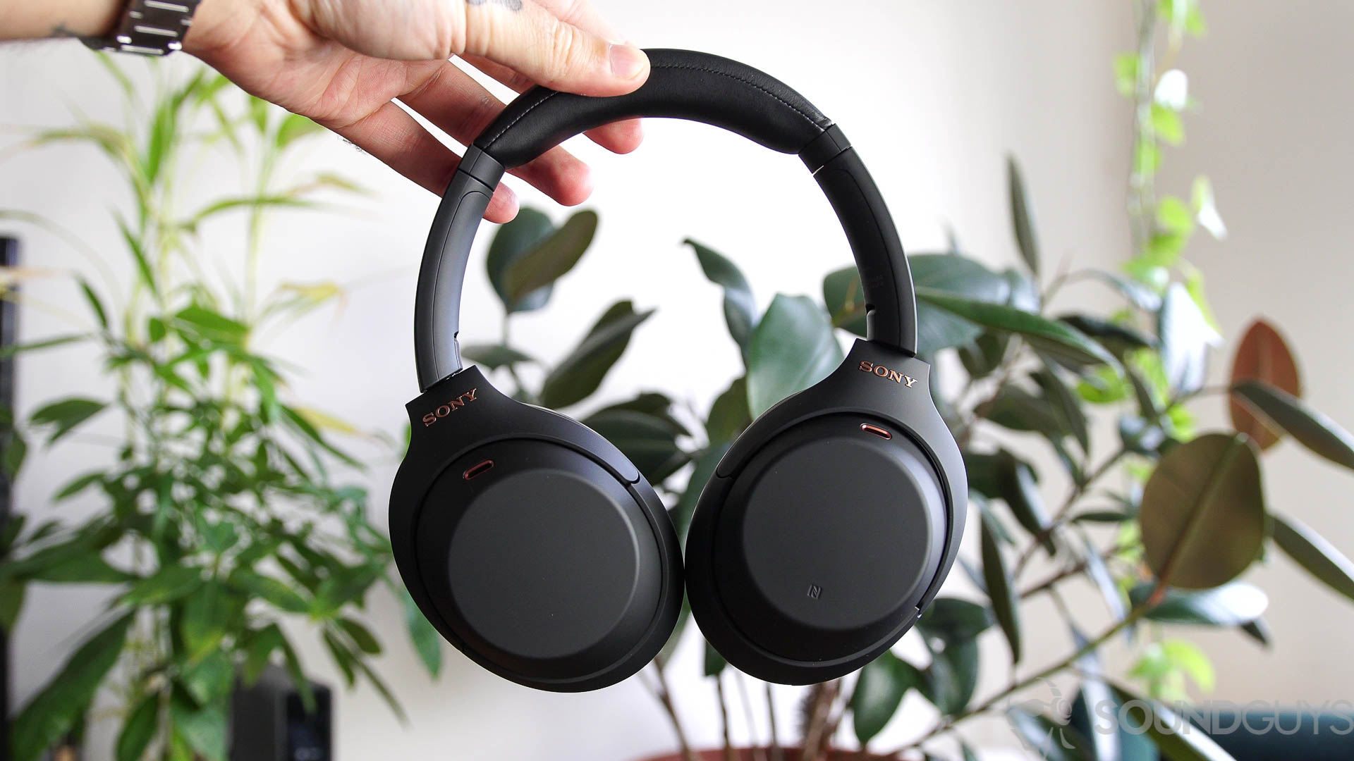 Photo of a man holding Sony WH 1000XM4 noise-cancelling headphones in front of indoor plants.