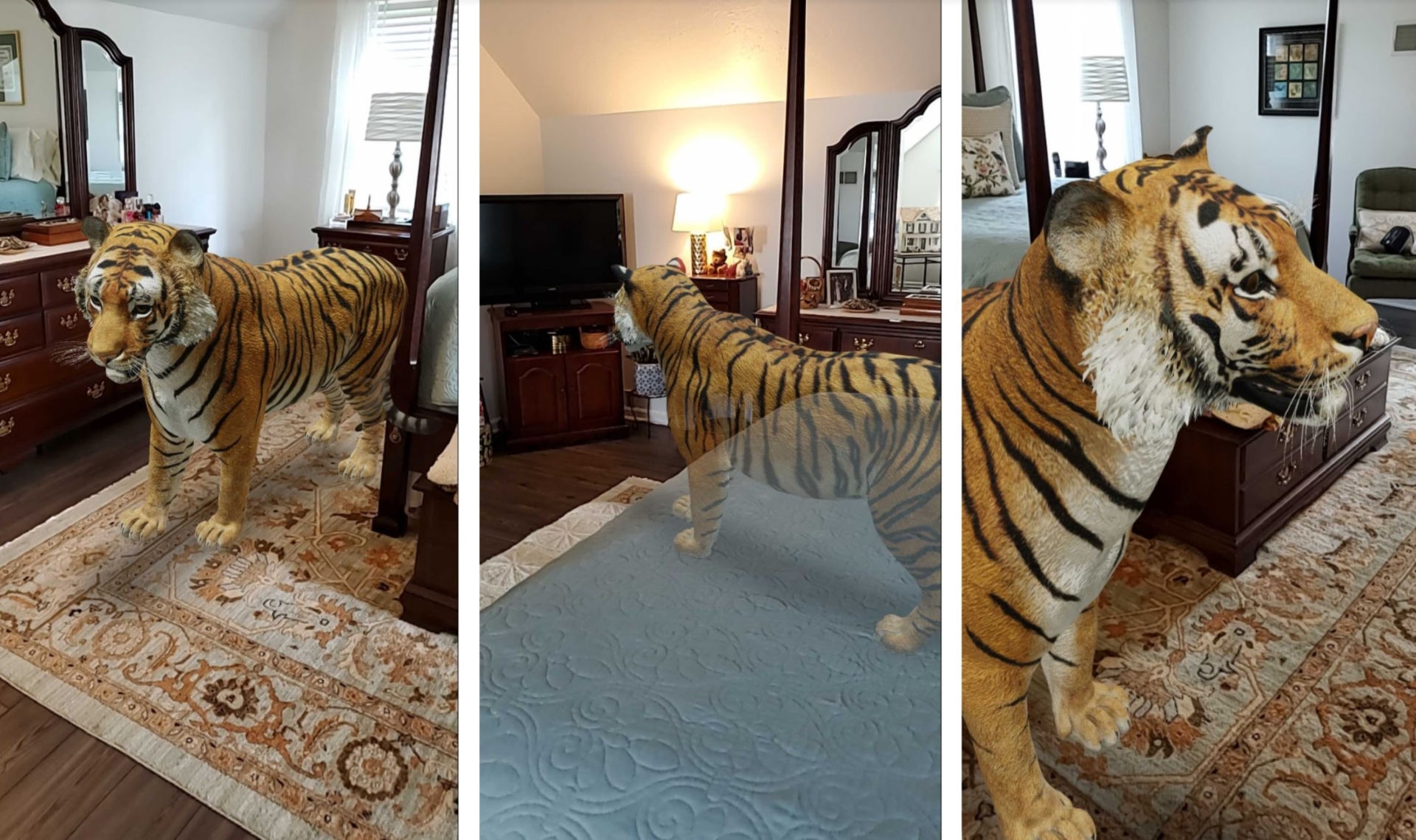 tiger composite image