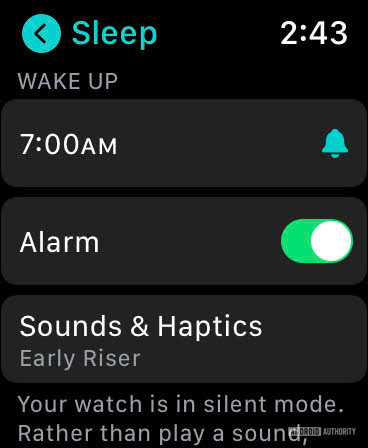 Apple Watch SE sleep tracking