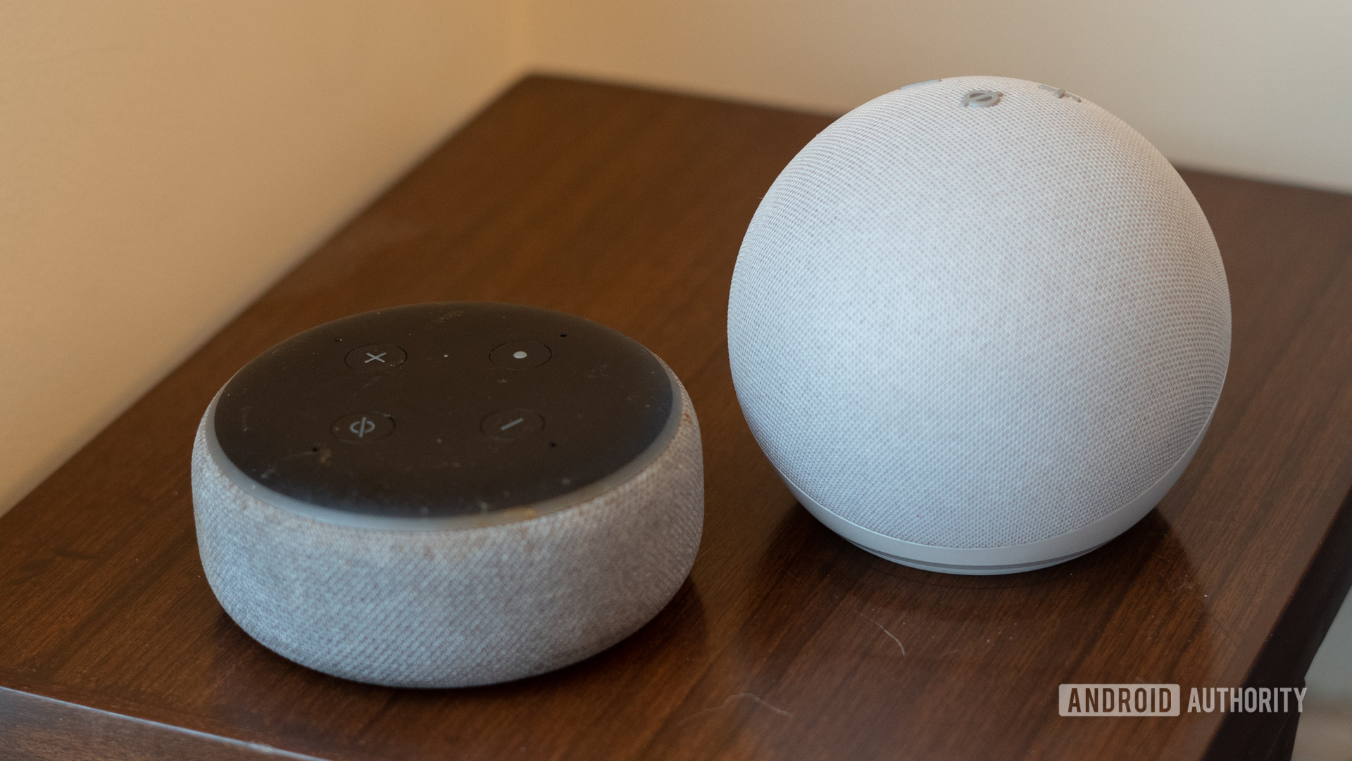 A 2020 Echo Dot with an older model