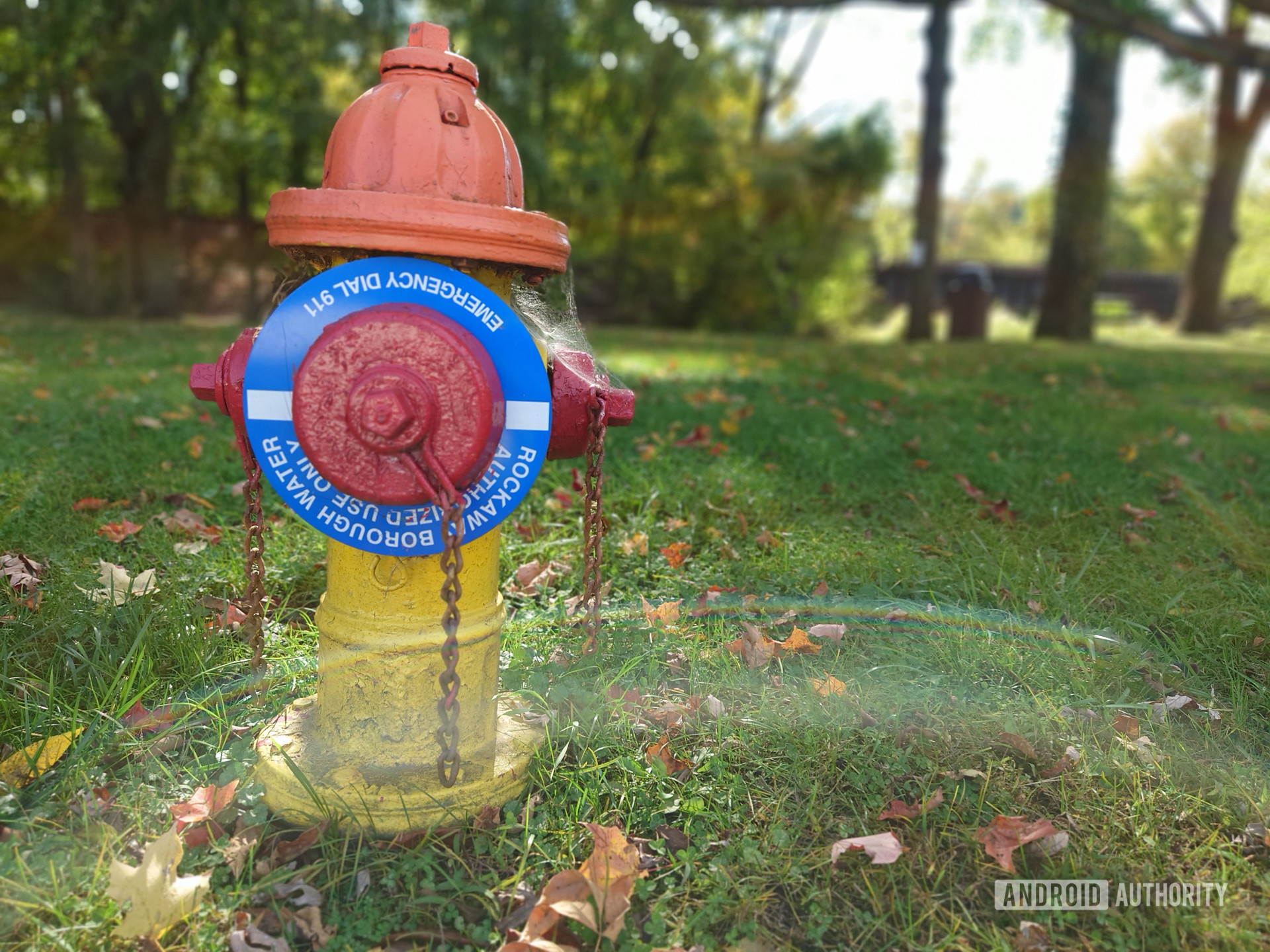 Sony Xperia 5 II photo sample hydrant