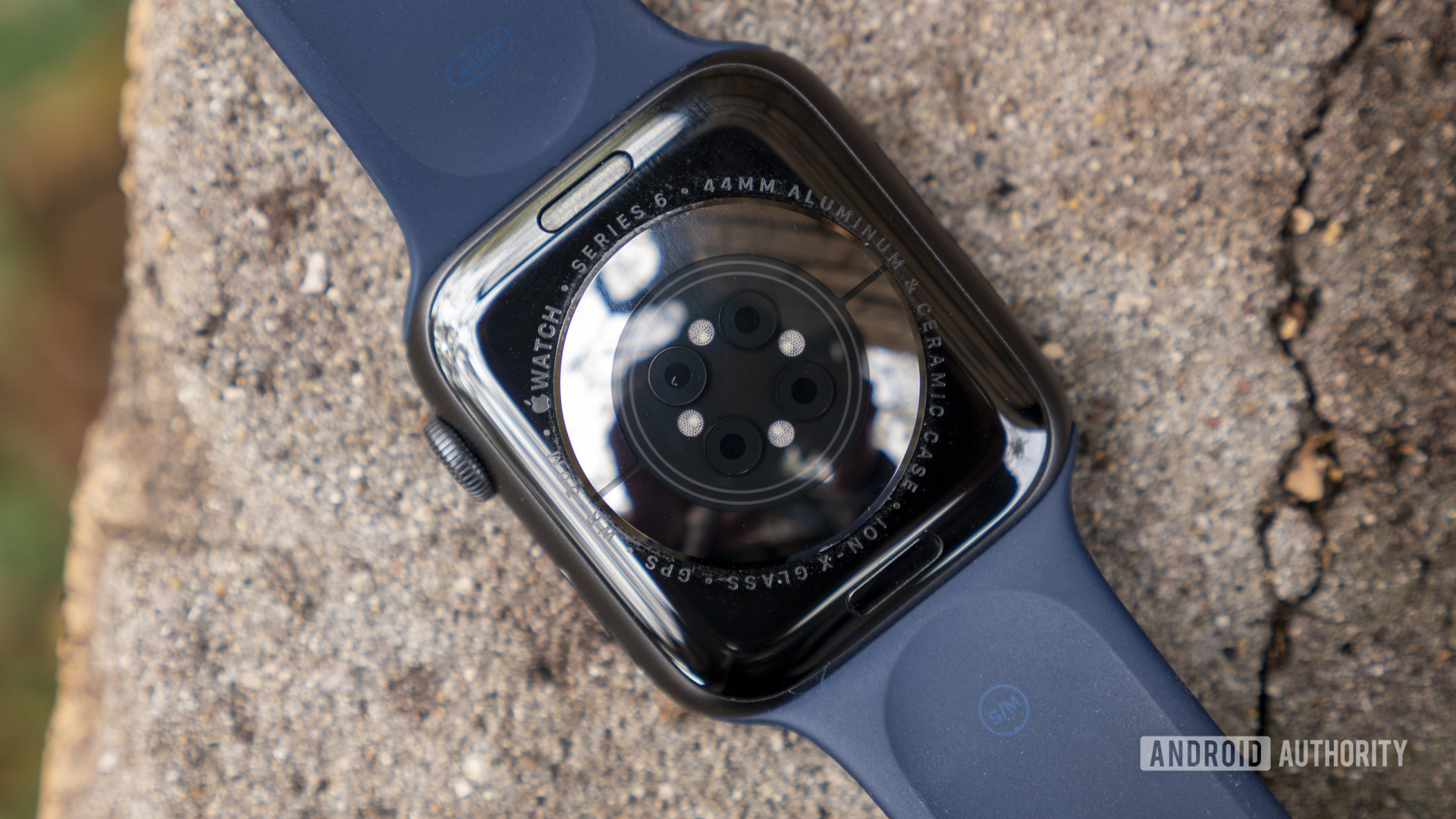 apple watch series 6 review heart rate sensor