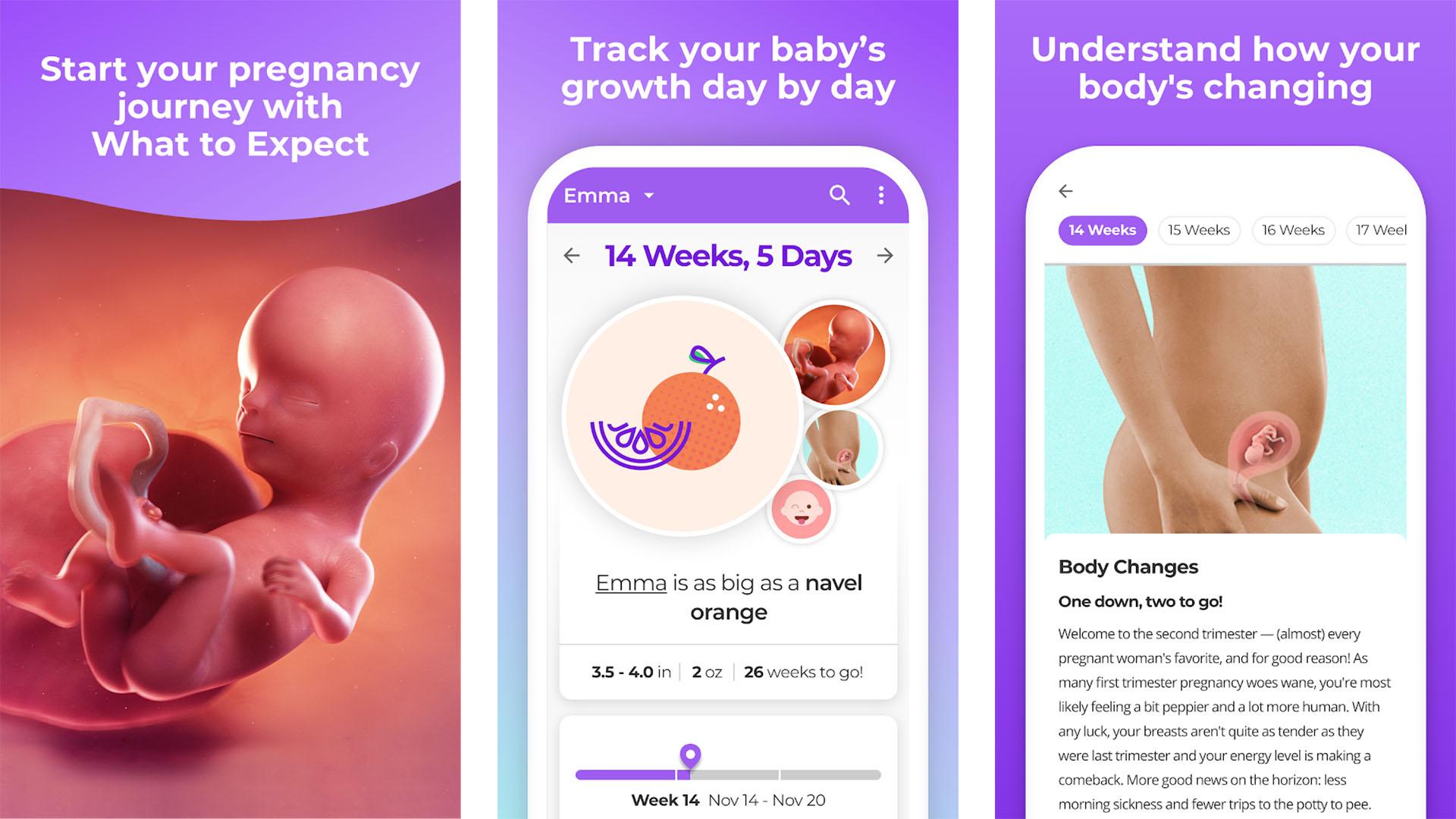 Ảnh chụp màn hình Pregnancy and Baby Tracker 2021