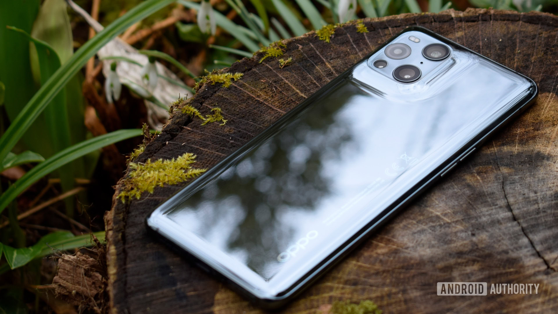 Oppo Find X3 Pro review outdoor back - phones with 12GB of RAM