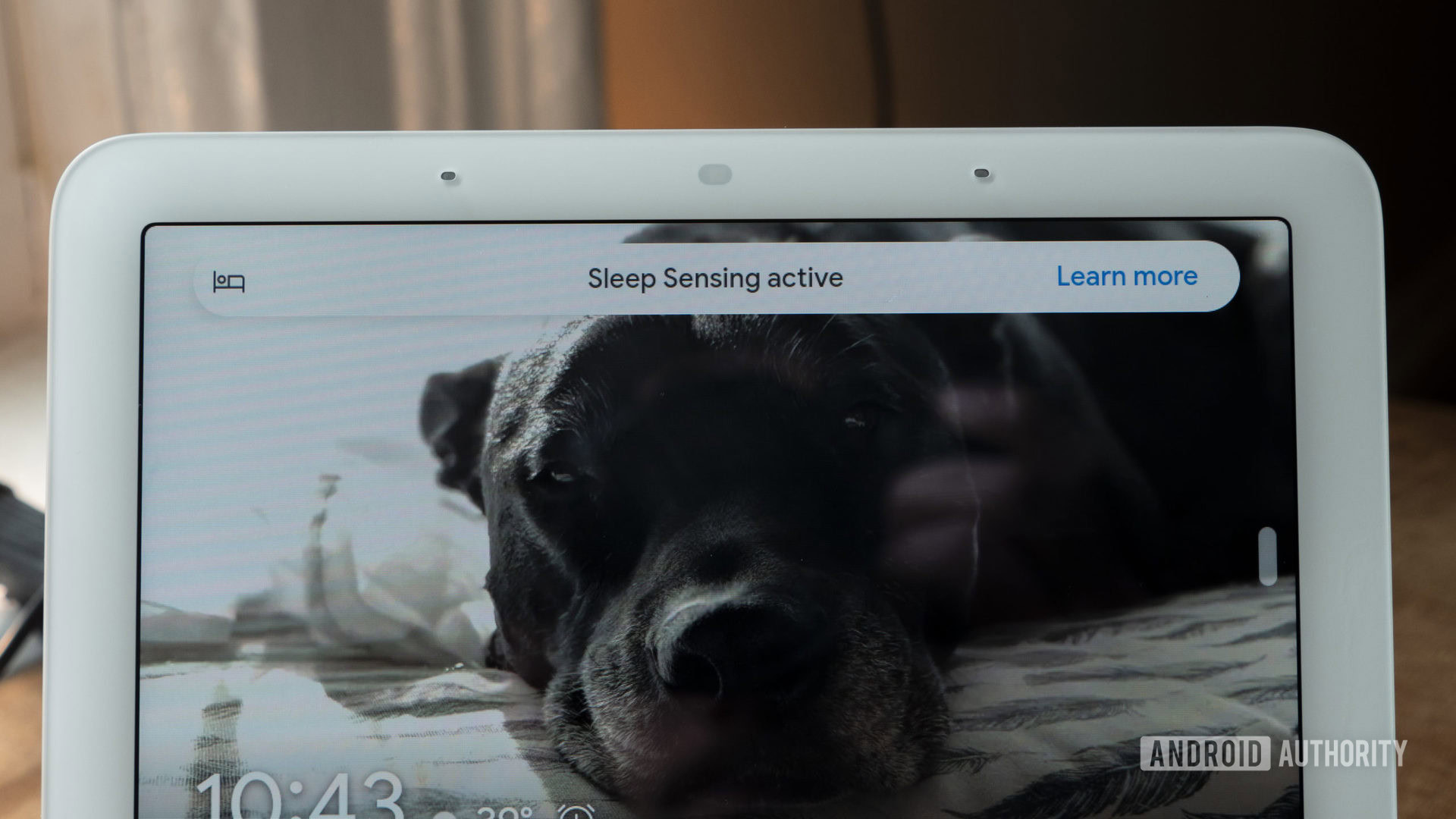 google nest hub second generation review sleep sensing active message