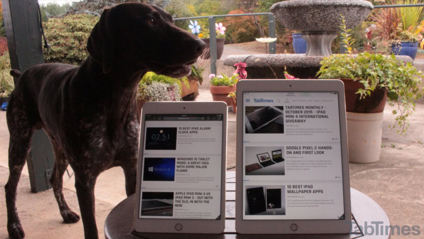 iPad Mini 4 vs iPad Air 2 display dog