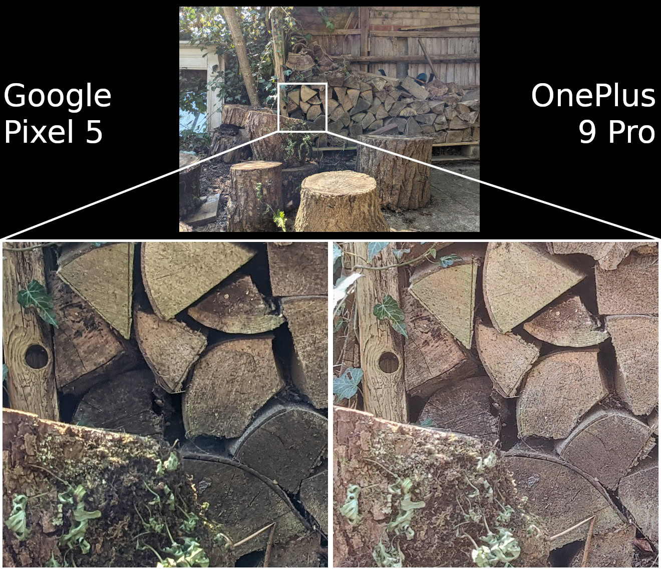 Google Pixel 5 vs OnePlus 9 Pro detail