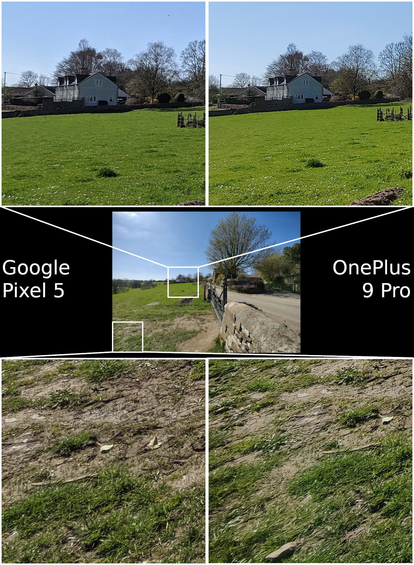 Google Pixel 5 vs OnePlus 9 Pro wide