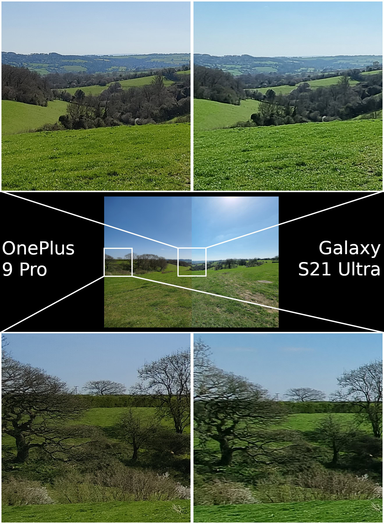 OnePlus 9 Pro vs Samsung Galaxy S21 Ultra camera wide