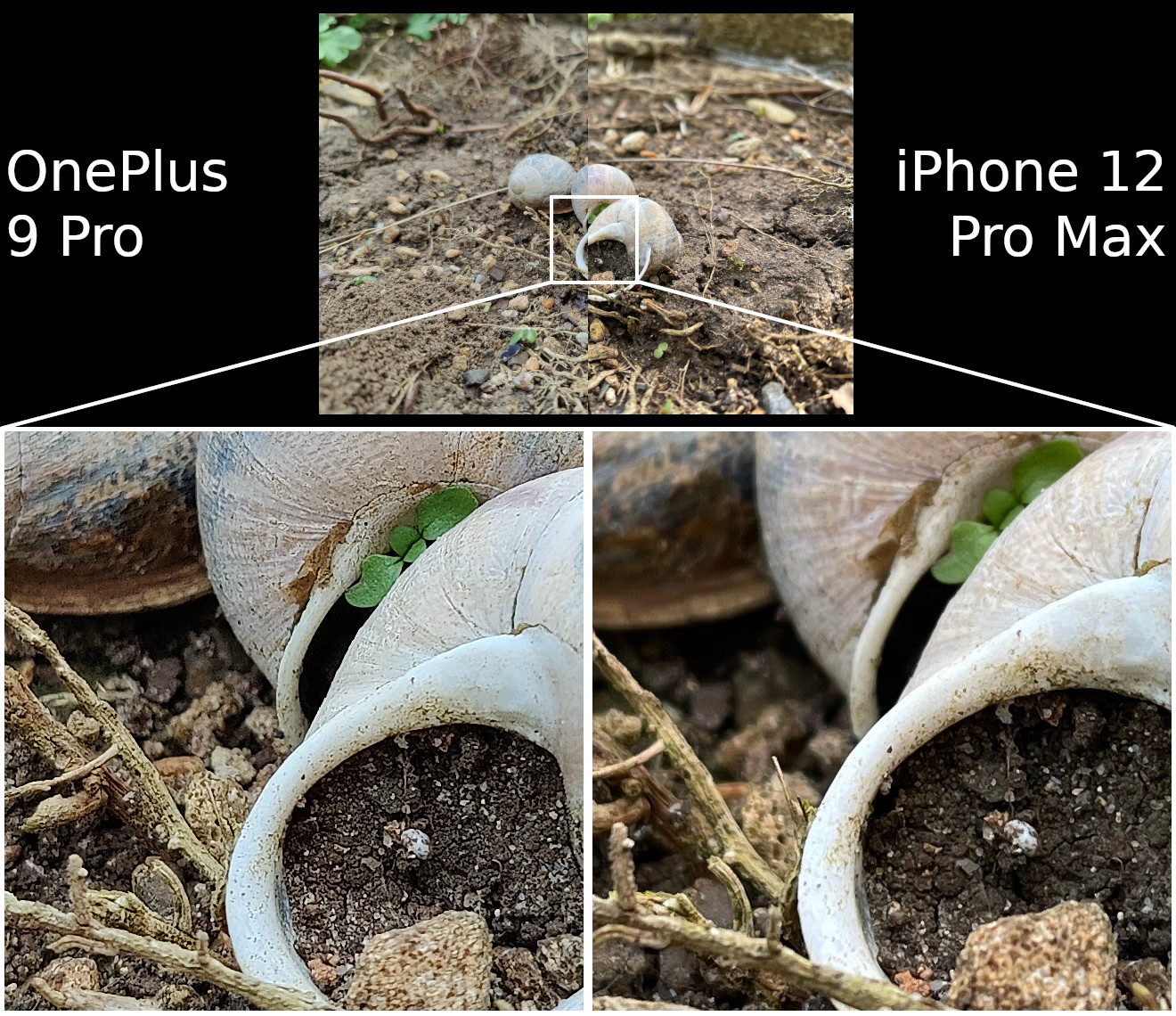 OnePlus 9 Pro vs iPhone 12 Pro Max detail