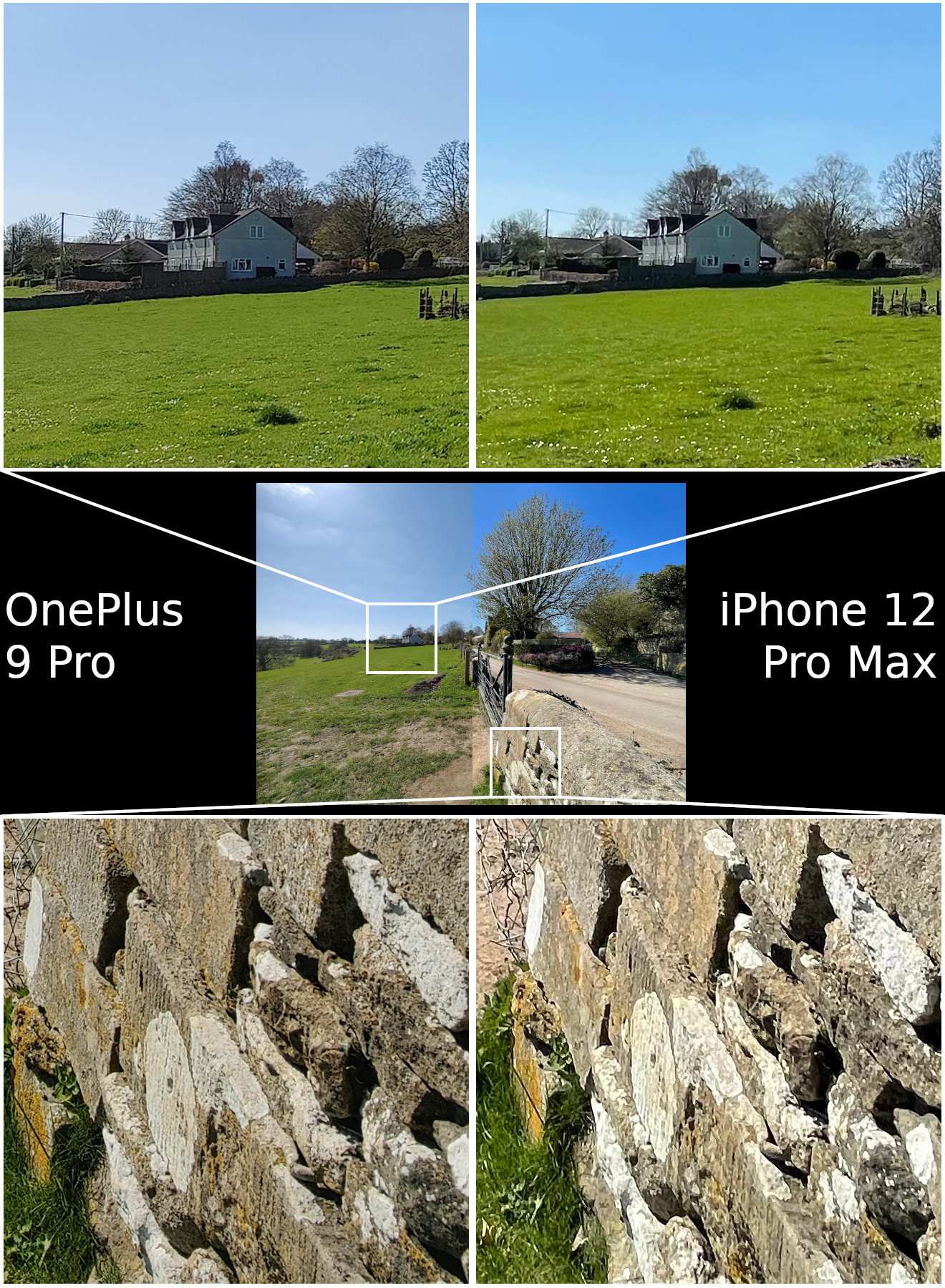 OnePlus 9 Pro vs iPhone 12 Pro Max wide angle