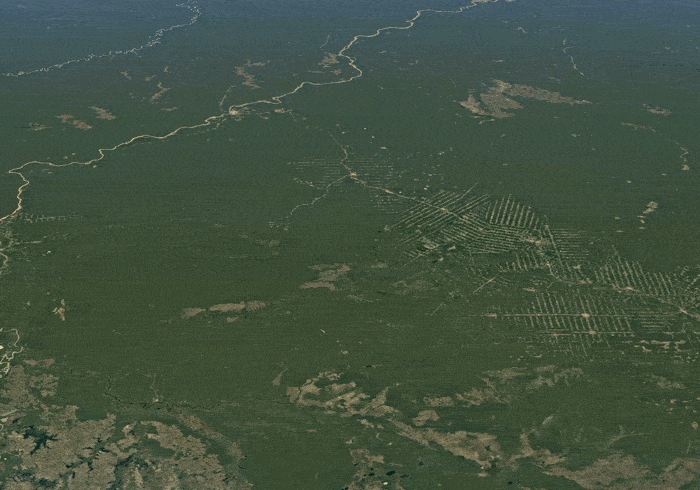 El sitio de Rodonia está extraído de Google Earth.