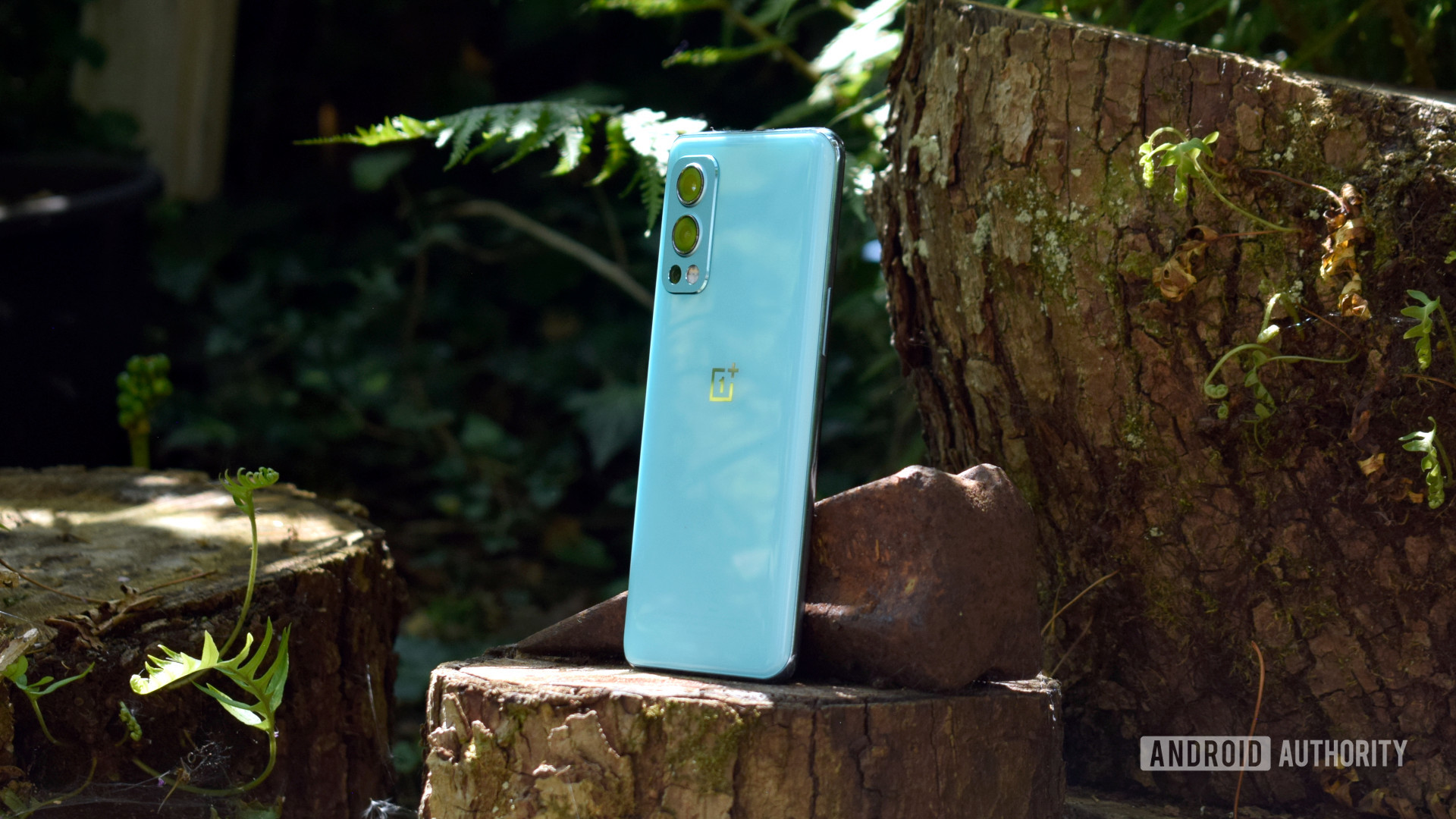 OnePlus Nord 2 5G back side-on standing on tree stump