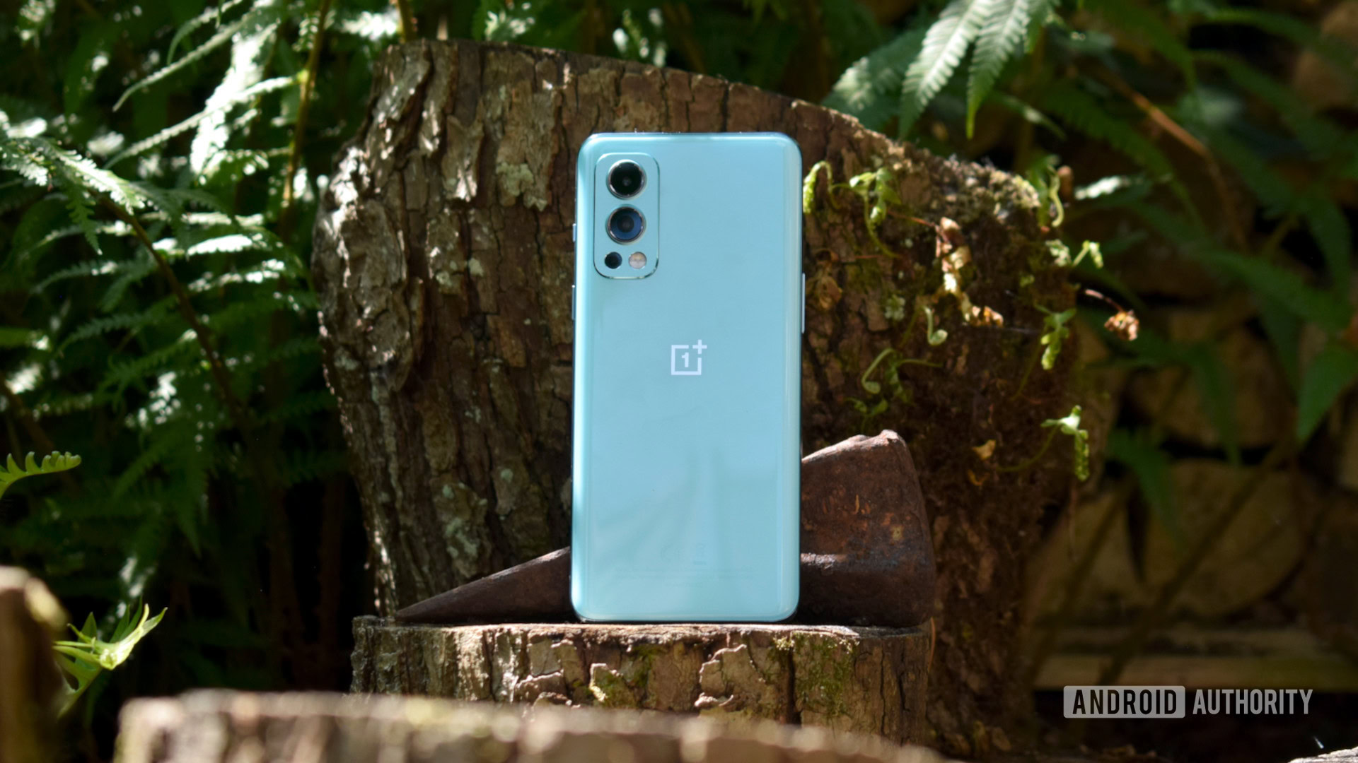 OnePlus Nord 2 5G back standing on tree stump