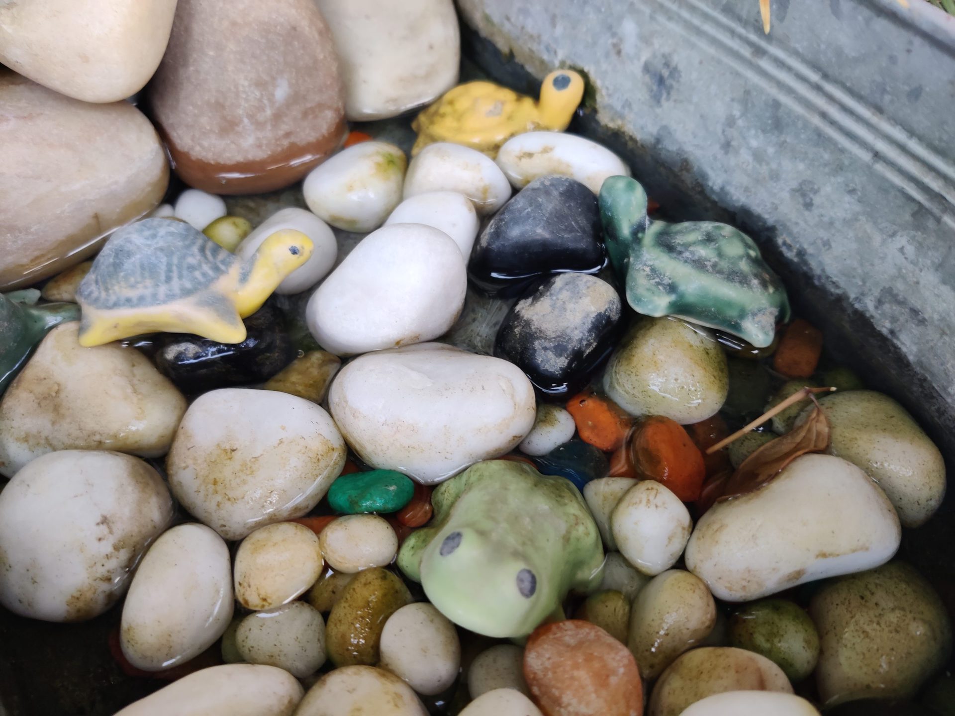OnePlus Nord primary sensor shot of some different colored pebbles and stones.