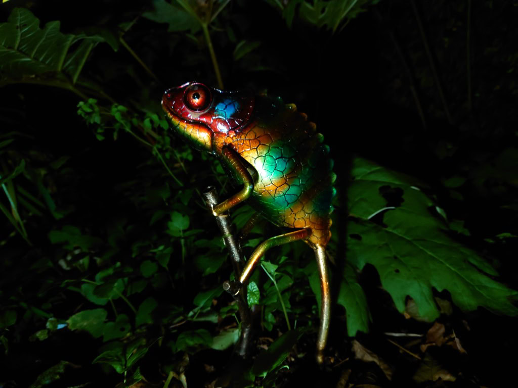 Sony Xperia 1 II camera night sample showing a colorful shiny metal chameleon sculpture in a dark garden.