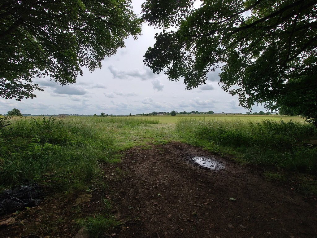 Sony Xperia 1 III camera 16mm shot of a field with trees