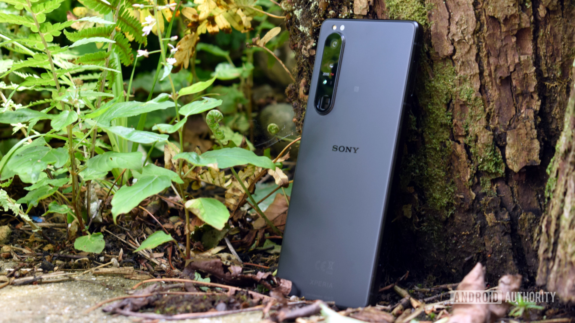 The Sony Xperia 1 III phone showing the rear of the phone and the camera module, propped up in portrait mode against a tree outside.