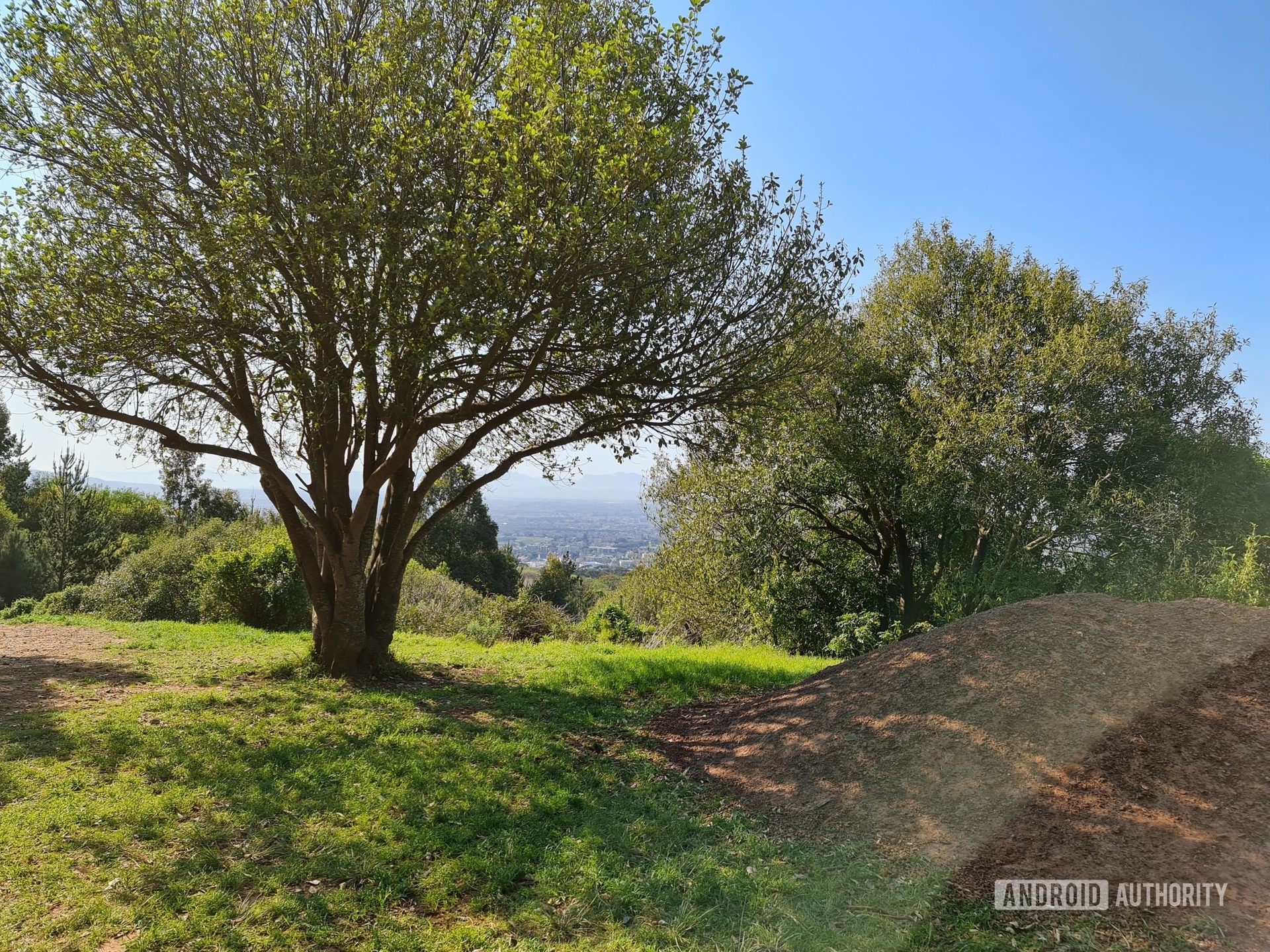 Một mẫu được chụp bằng Galaxy Note 20 Ultra cho thấy cây xanh, cỏ và bầu trời xanh