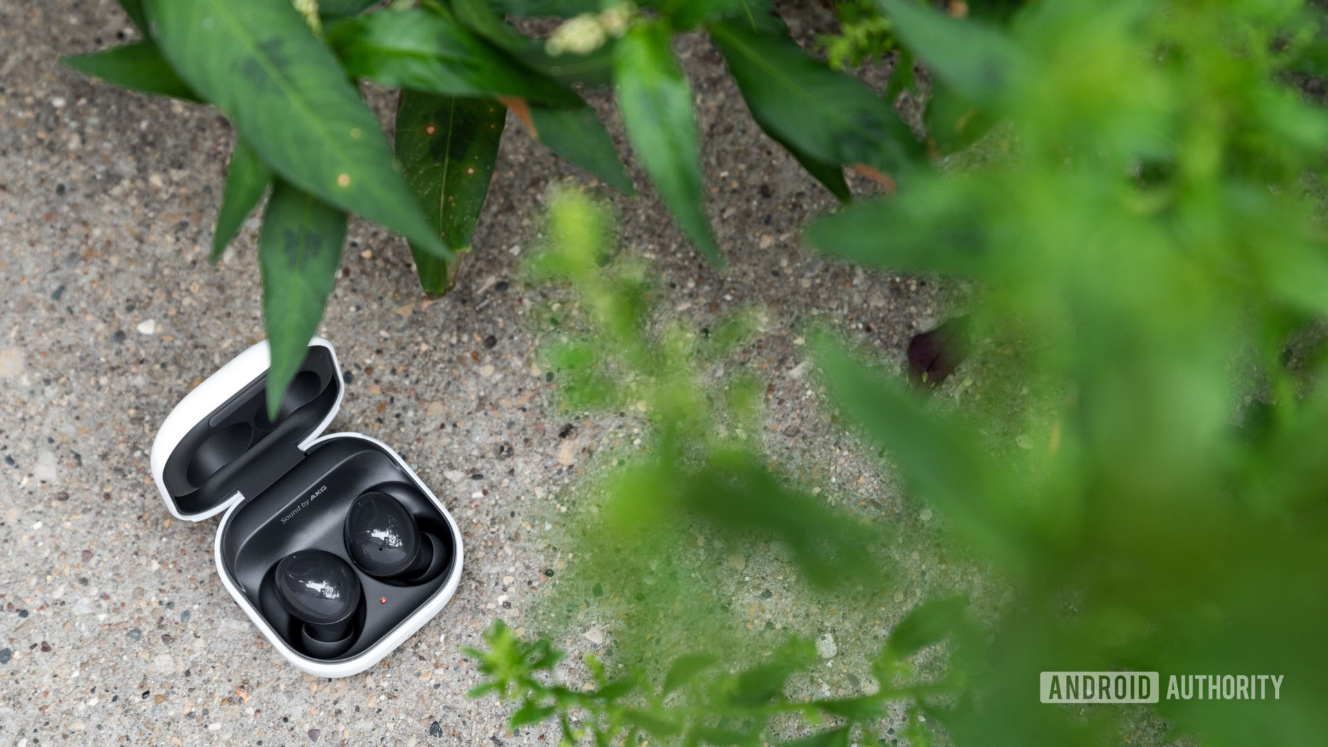 The Samsung Galaxy Buds 2 noise cancelling true wireless earbuds in the open charging case, partially obscured by greenery.