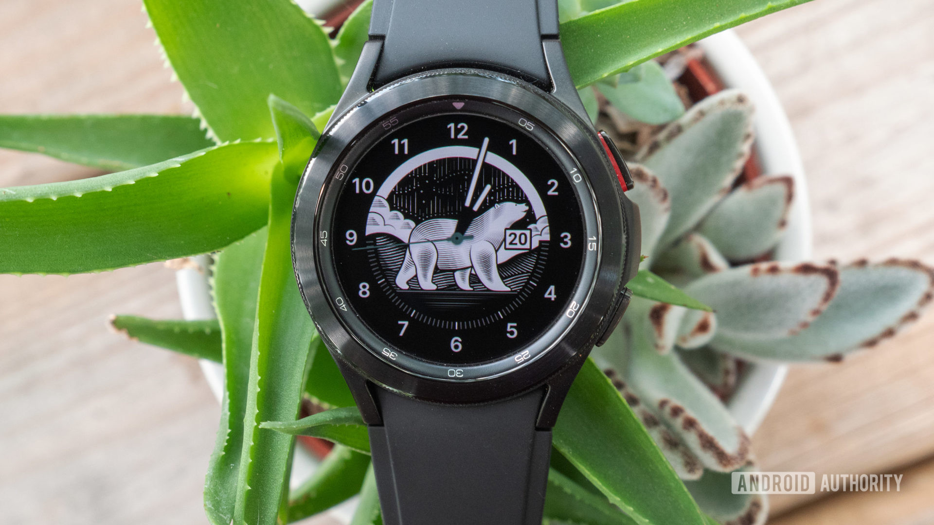 The Samsung Galaxy Watch 4 Classic in a plant.