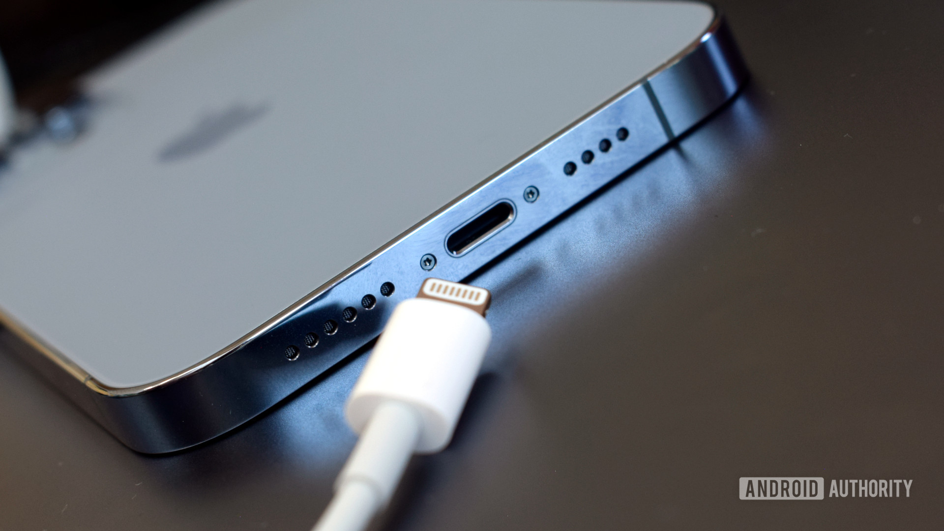 Apple iPhone 13 Pro Max Lightning Cable.jpg
