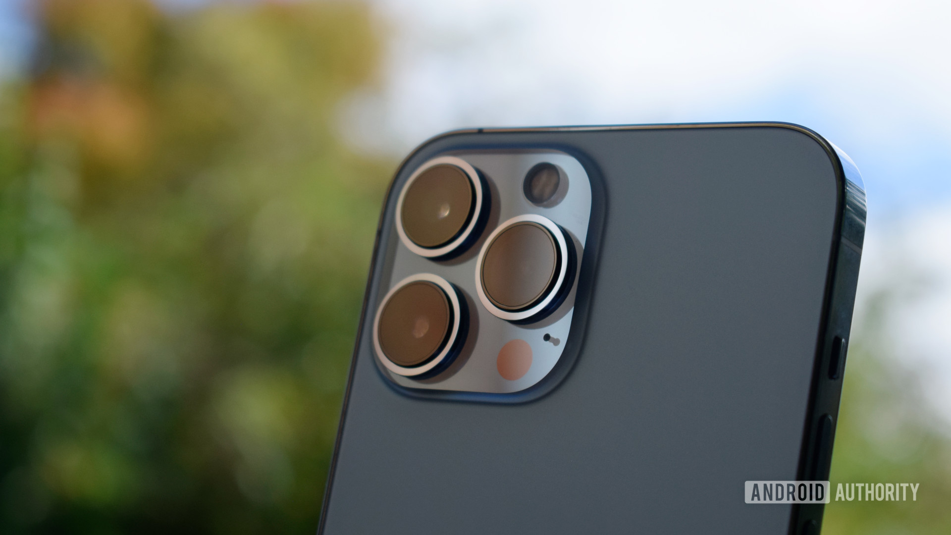 Apple iPhone 13 Pro Max camera closeup sky - The best camera phones