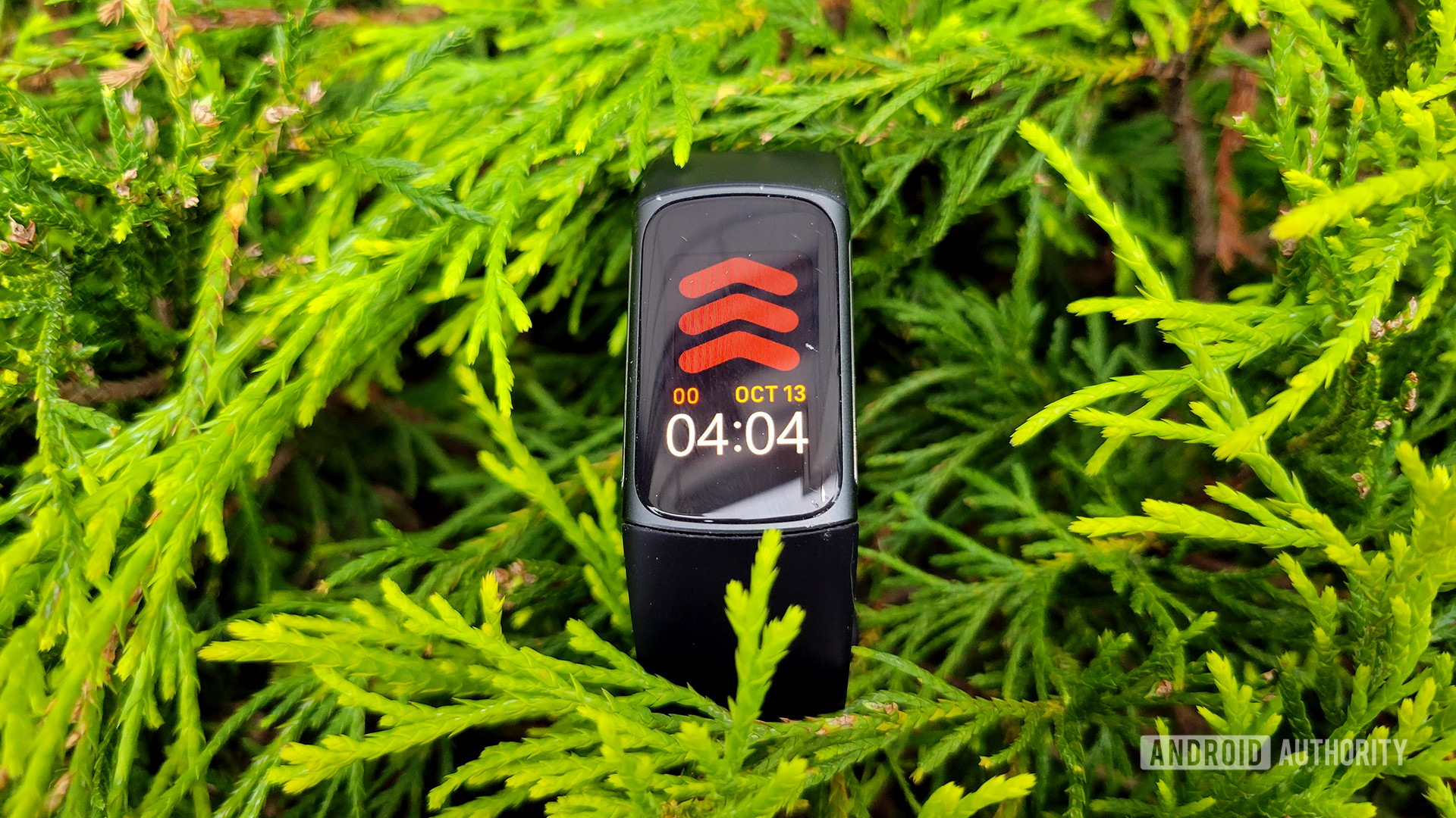 Fitbit Charge 5 Review In Bush