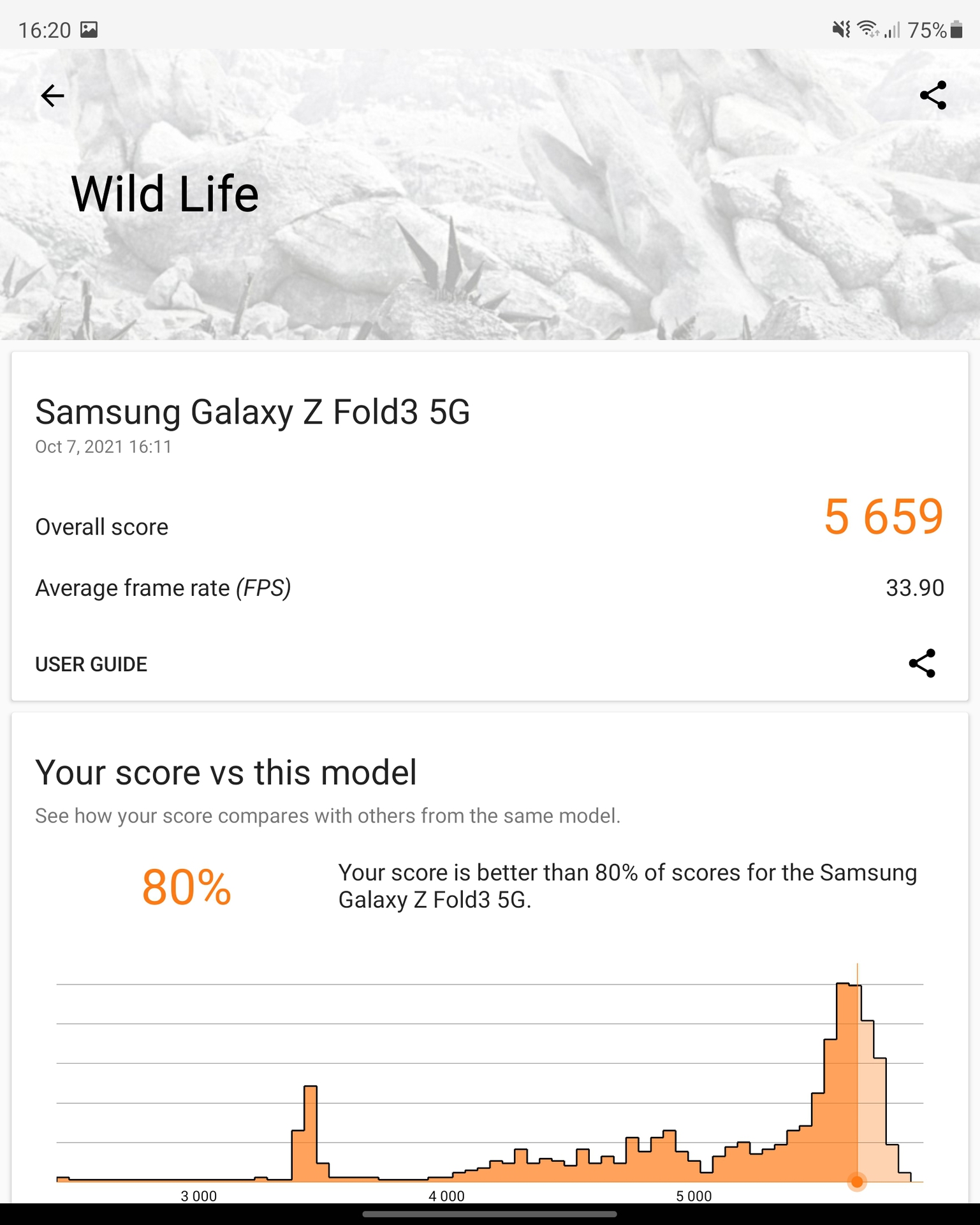 Galaxy Z Fold 3 3DMark Wild Life